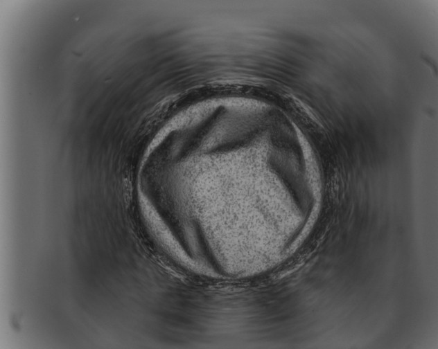 X0000091690821200709201256