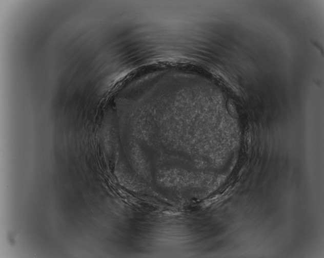 X0000091690822200709201256