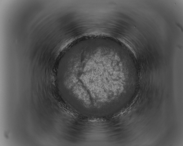 X0000091690823200709201256