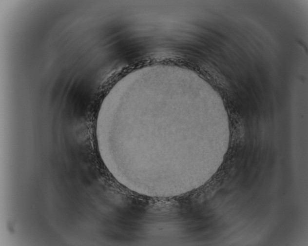 X0000091690824200709201256