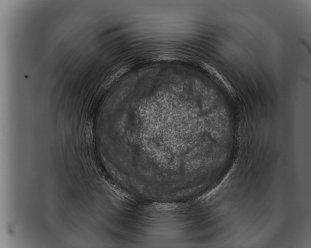 X0000091690825200709201256