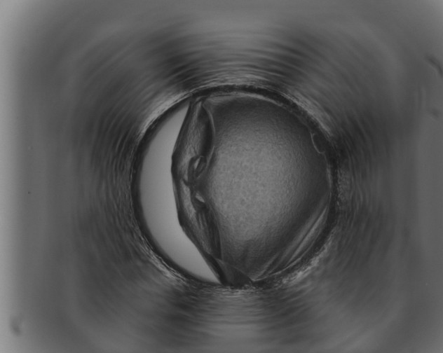 X0000091690826200709201256