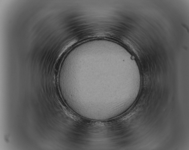 X0000091690827200709201256