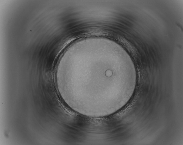 X0000091690828200709201256