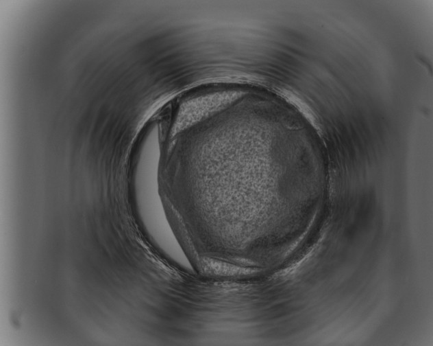 X0000091690829200709201256