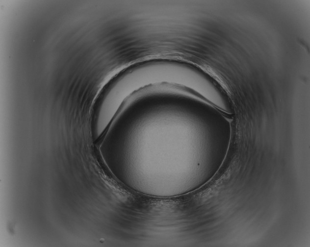 X0000091690830200709201256