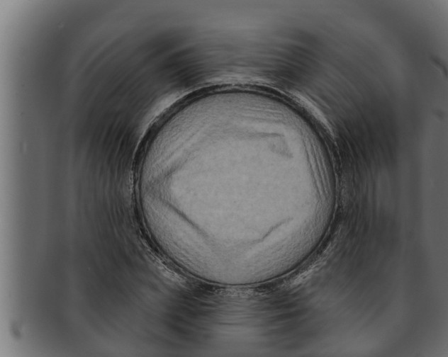 X0000091690831200709201256