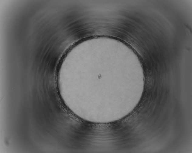 X0000091690832200709201256