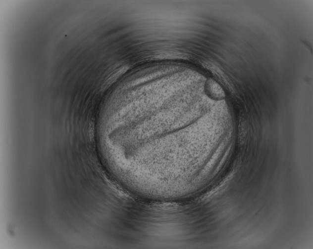 X0000091690833200709201256