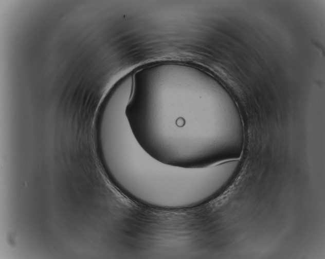 X0000091690838200709201257