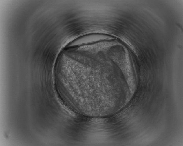 X0000091690840200709201257