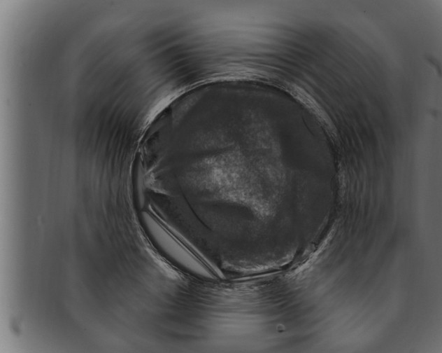 X0000091690842200709201257