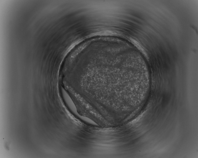 X0000091690845200709201257