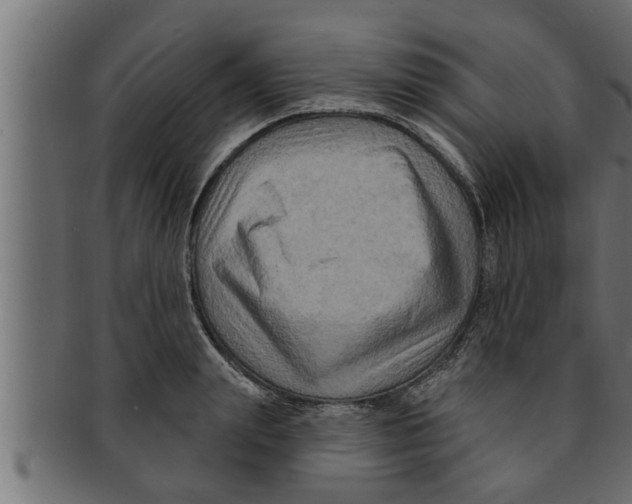 X0000091690847200709201257