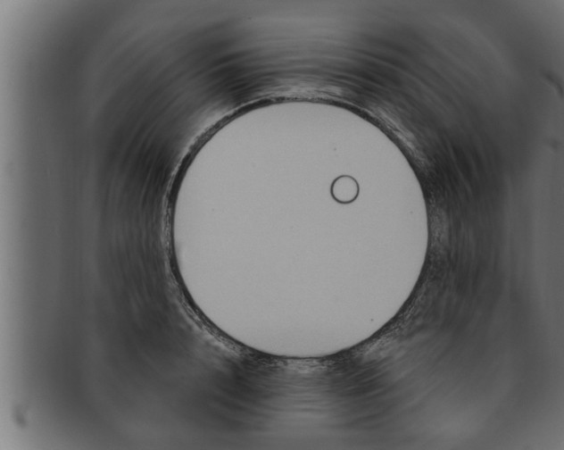 X0000091690848200709201257