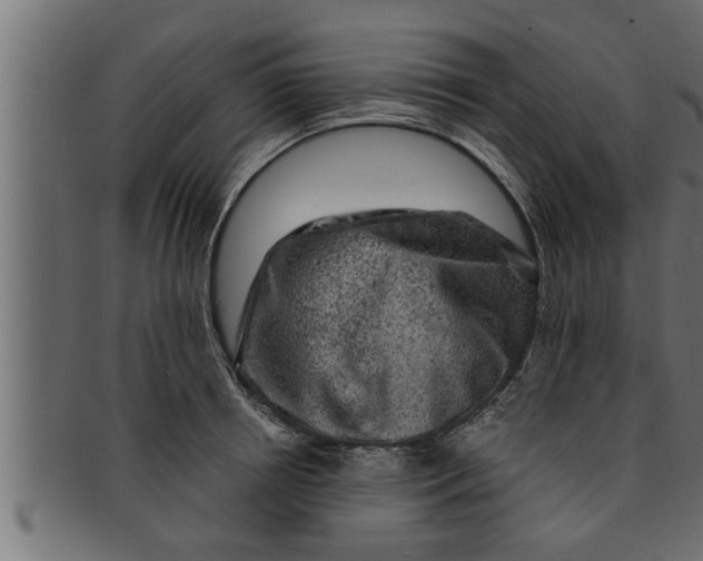 X0000091690850200709201257