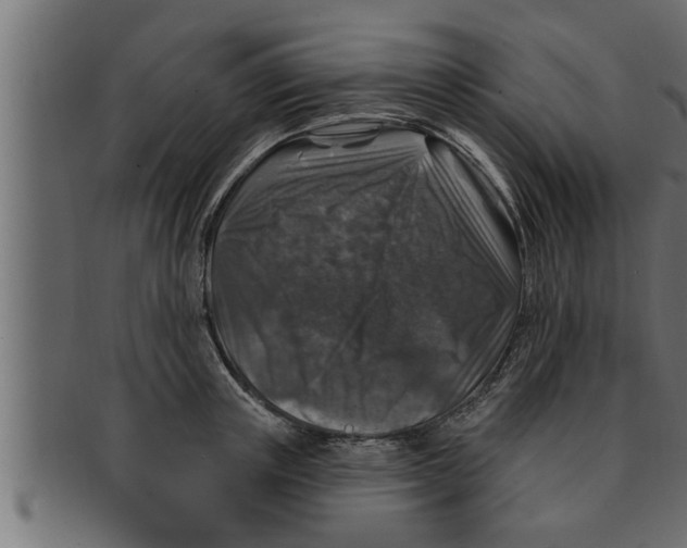 X0000091690851200709201257