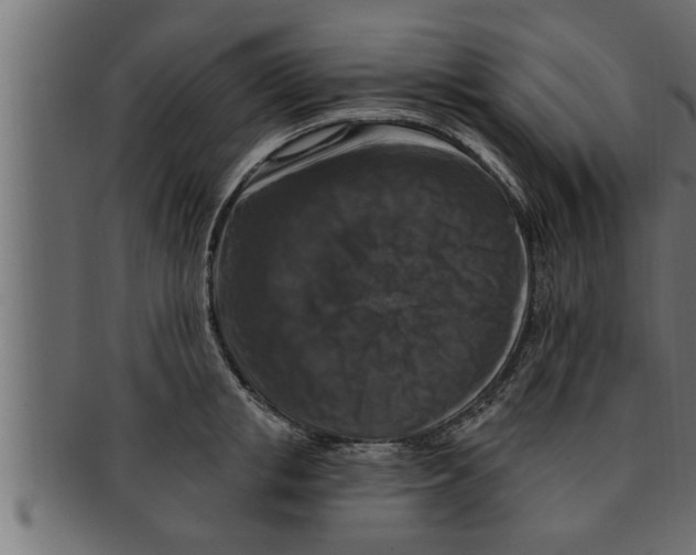 X0000091690853200709201257