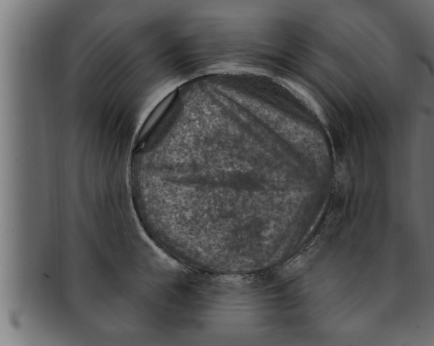 X0000091690855200709201257