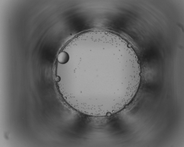 X0000091690856200709201257