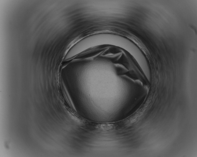 X0000091690858200709201257