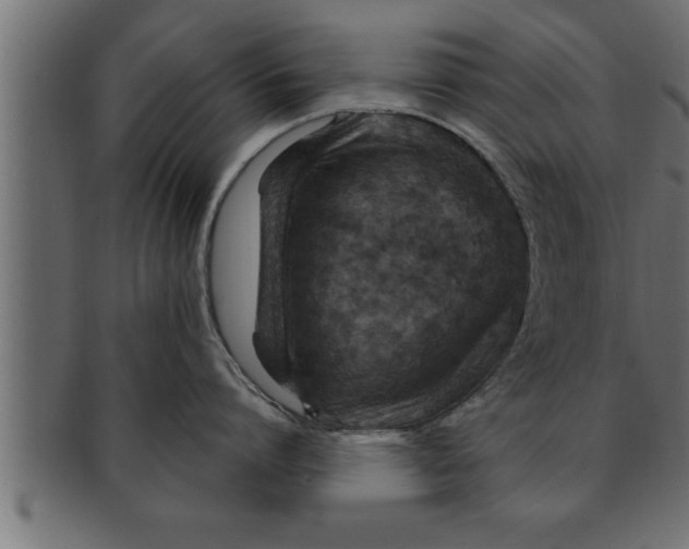 X0000091690864200709201257