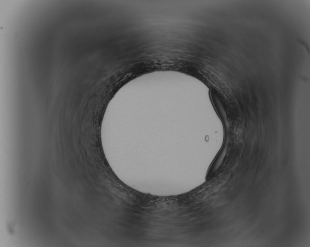 X0000091690865200709201256