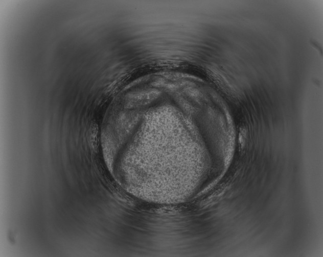 X0000091690867200709201256