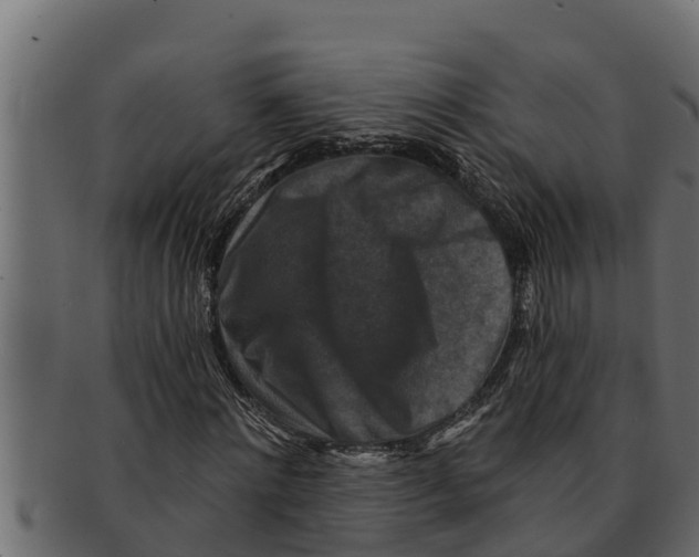 X0000091690868200709201256