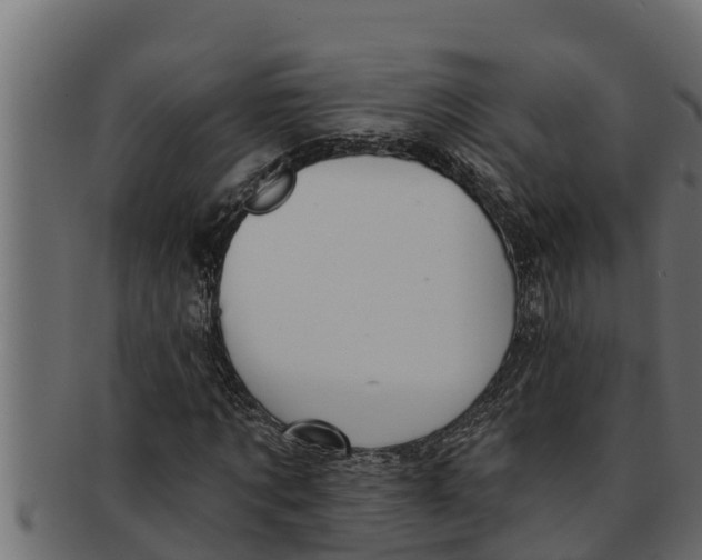 X0000091690869200709201256