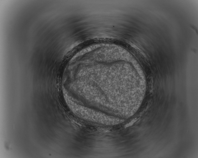 X0000091690870200709201256