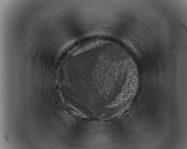 X0000091690872200709201256