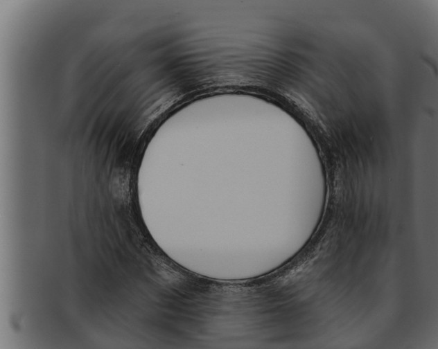 X0000091690873200709201256