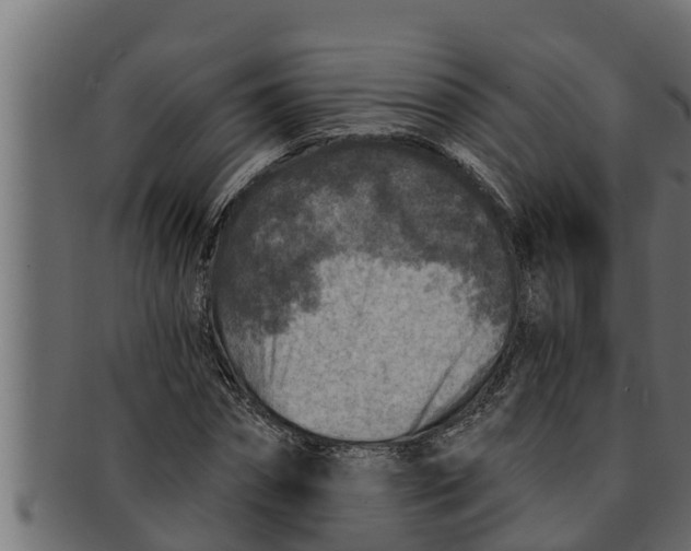 X0000091690874200709201256