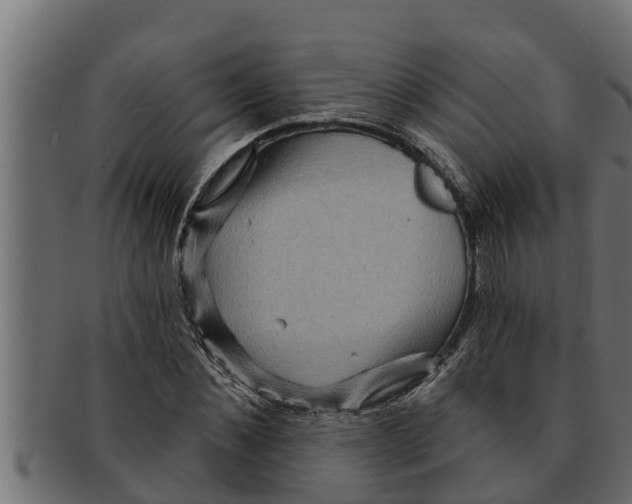 X0000091690876200709201256