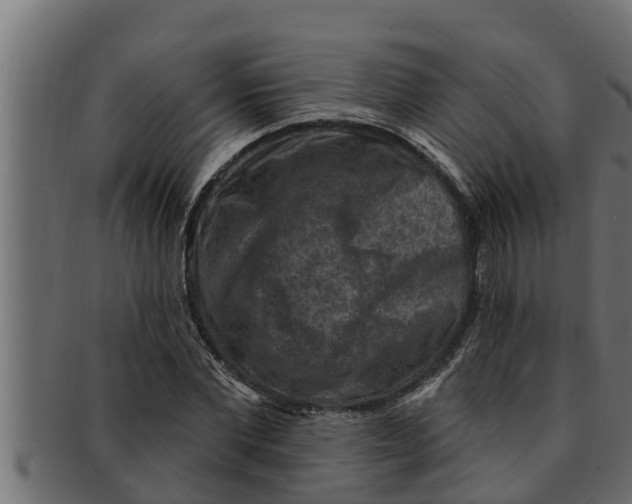 X0000091690877200709201256