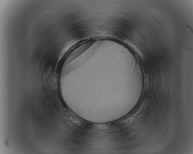 X0000091690878200709201256