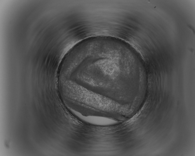 X0000091690879200709201256