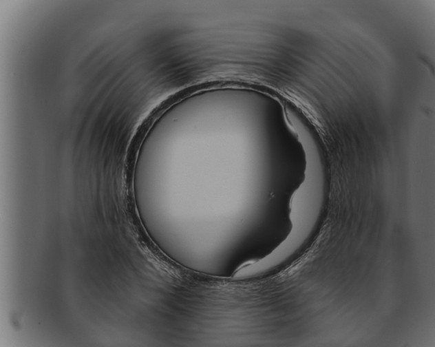 X0000091690880200709201256