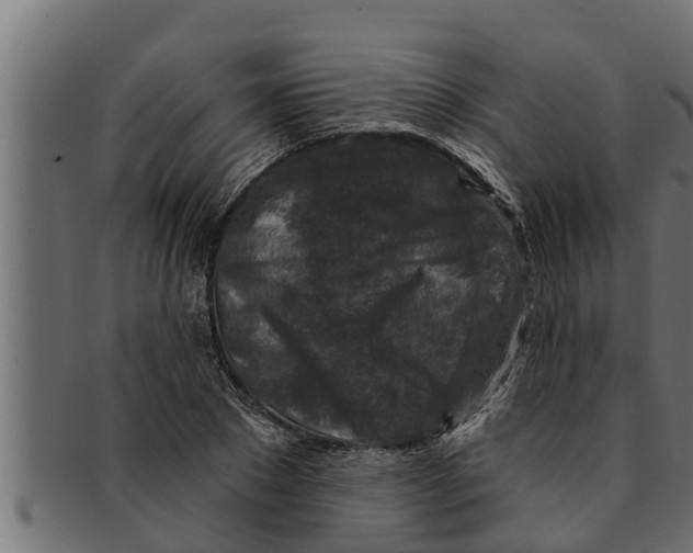 X0000091690881200709201256