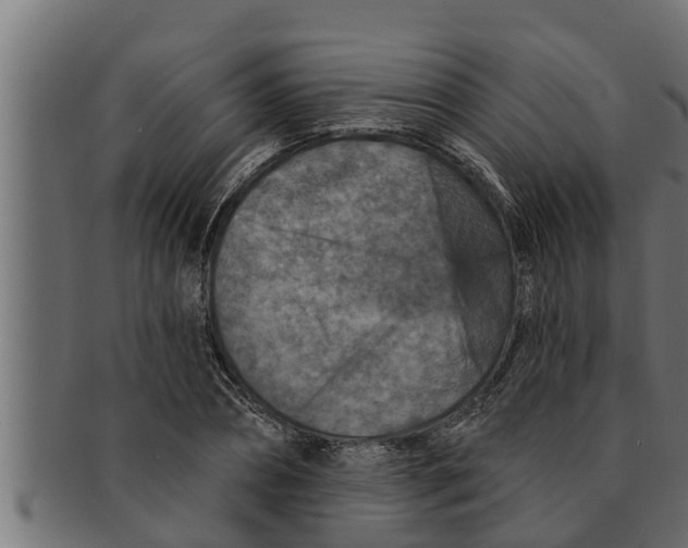 X0000091690882200709201256