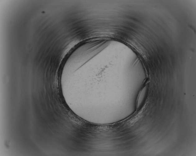 X0000091690883200709201256