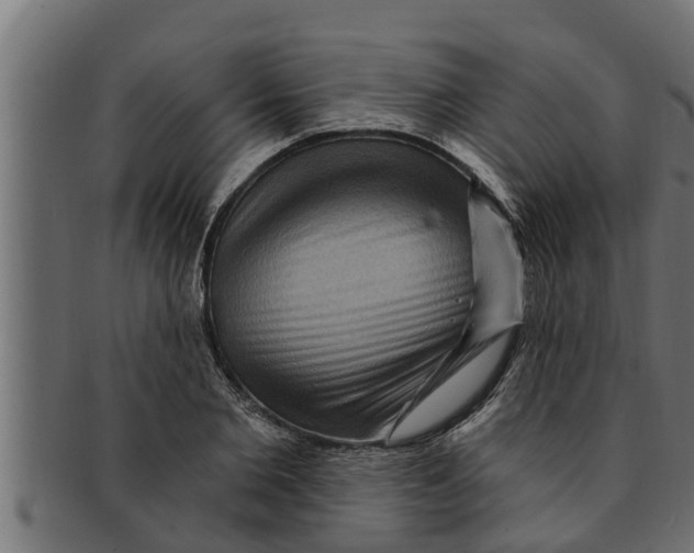 X0000091690885200709201256