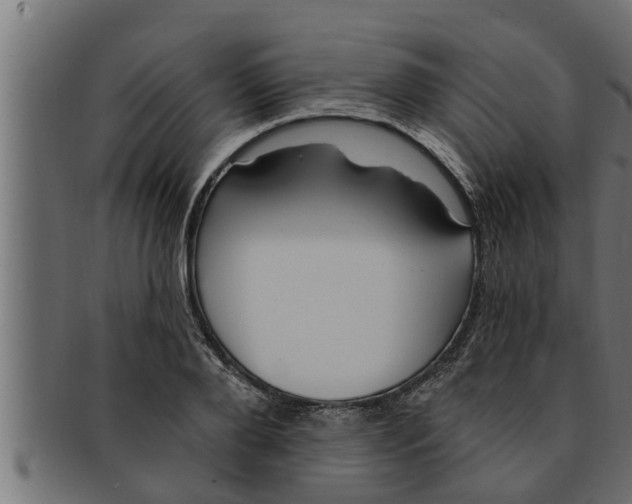 X0000091690888200709201256