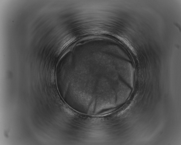 X0000091690889200709201256