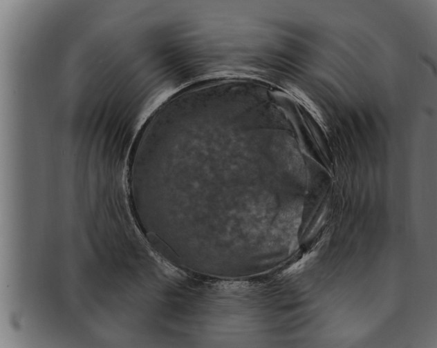 X0000091690893200709201256