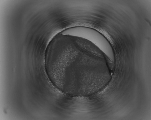 X0000091690896200709201256