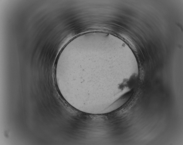 X0000091690899200709201256