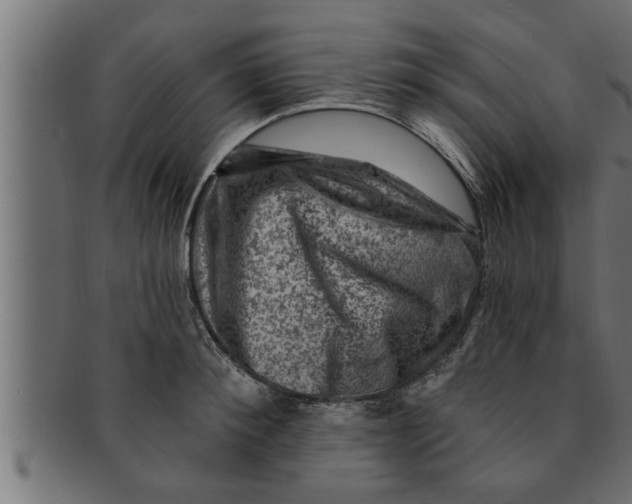 X0000091690900200709201256