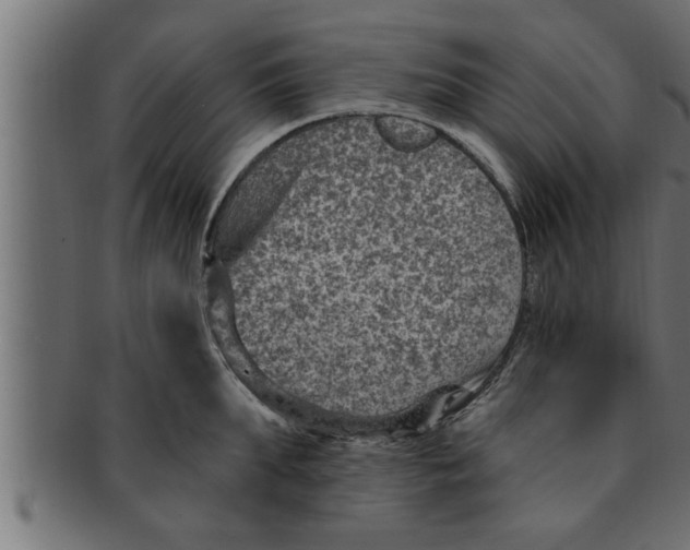 X0000091690903200709201256